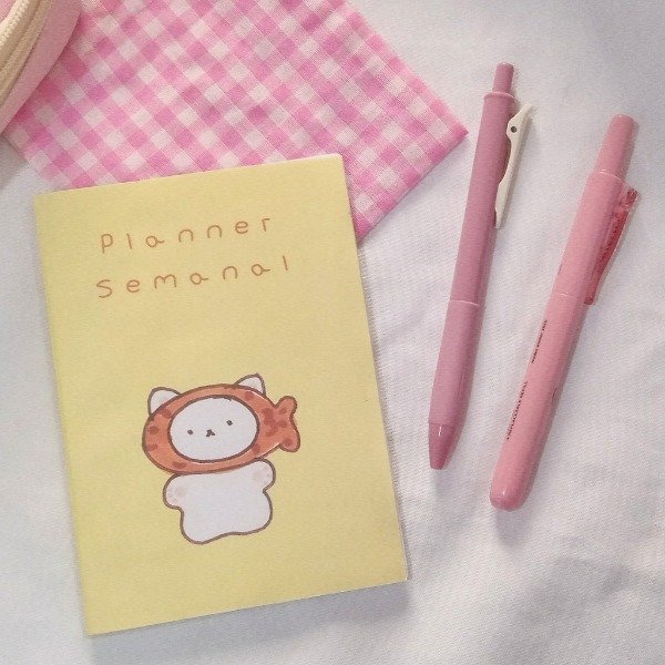 Producto - Planner semanal 1 semana por hoja