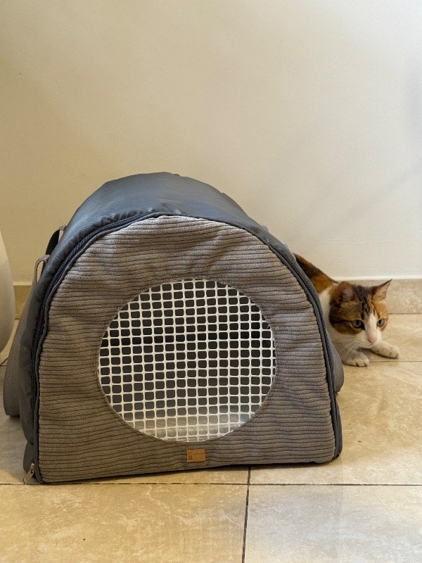 Producto - Transportadora grande Gris