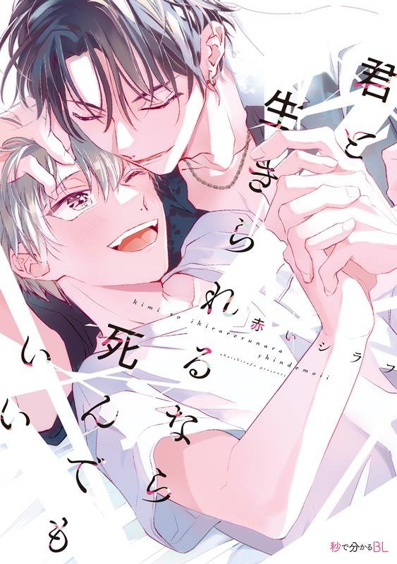 Producto - Kimi to Ikirarerunara Shindemo Ii - en japonés