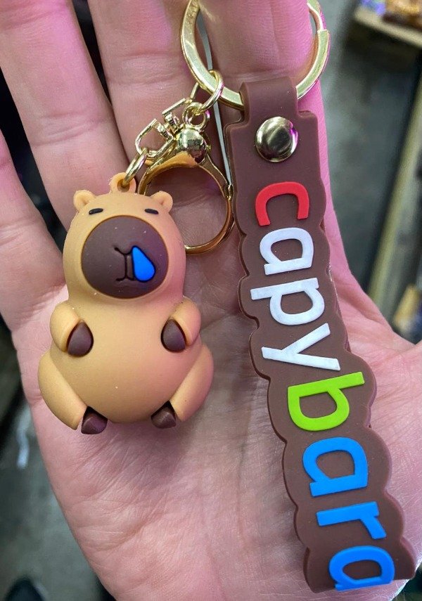Producto - CAPYBARA - RESFRIADO