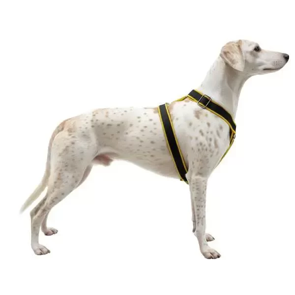 Producto - ARNESES "H" LISOS