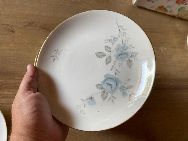 Producto - LOTE 10 PLATOS DE POSTRE TSUJI 19cm. PRECIO POR TODOS #11463