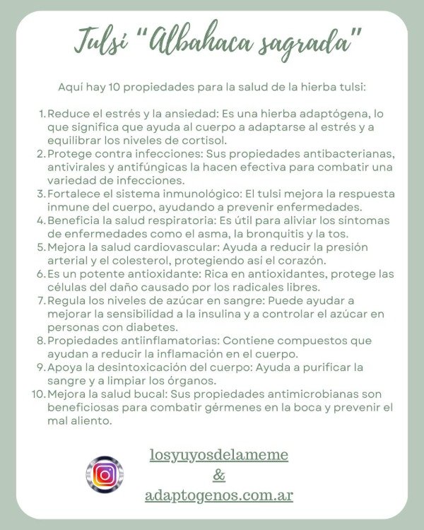 Miniatura de producto - 13