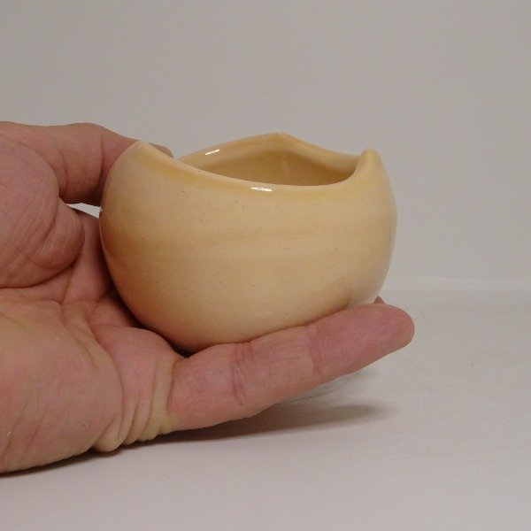 Producto - Germina rosa - Maceta pequeña