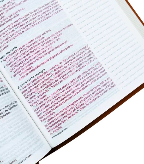 Producto - BIBLIA DE APUNTES NTV - Imitación Piel Marrón LEÖN - 6