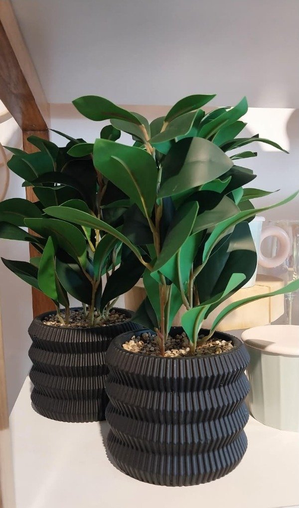 Producto - PLANTA - 0
