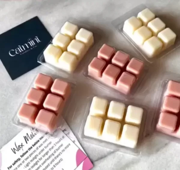 Producto - MOLDE ACETATO PARA WAX MELTS