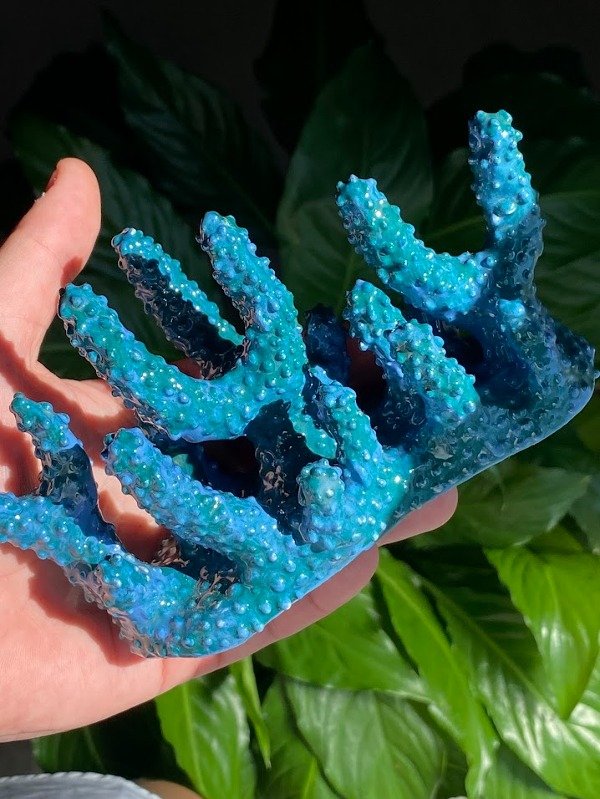 Producto - Coral 08