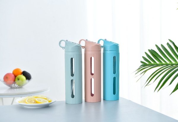 Producto - Botella Liso con Visor 650ML