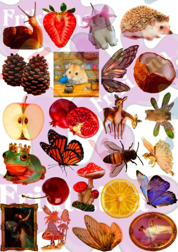 Producto - Pack Sticker Hadas - 5