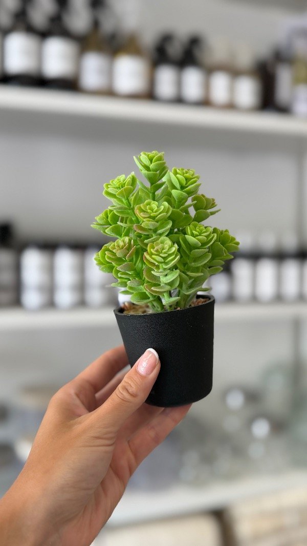 Producto - Negro Arbolito