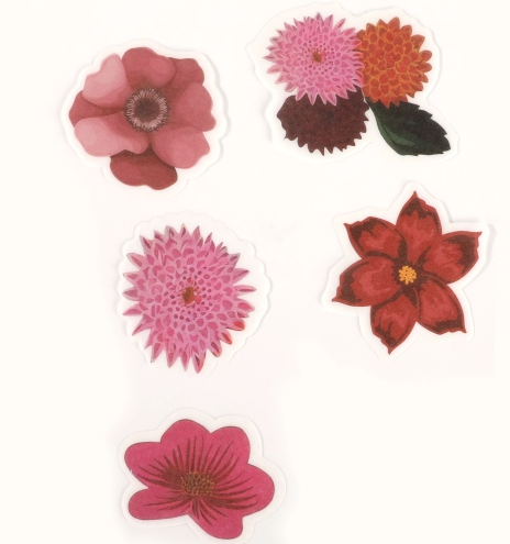 Producto - Stickers Botánicos Washi Tape - Helen Ibi Craft - 1