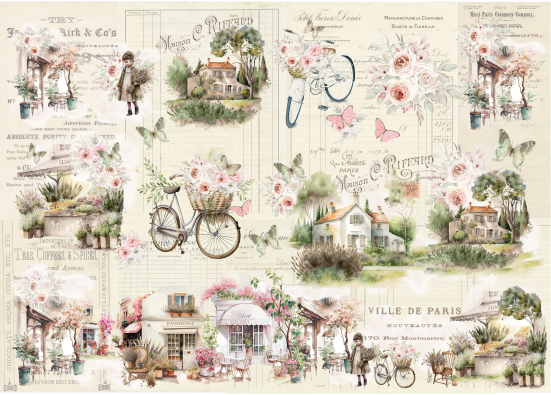 Producto - PROVENCE 10