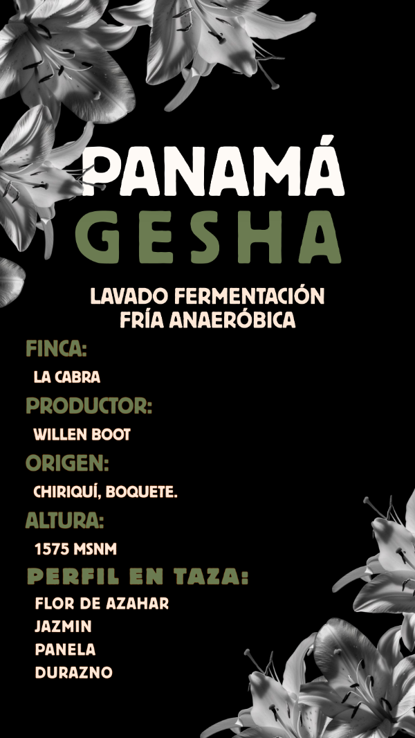 Producto - Panamá, Gesha Lavado fermentación fría anaeróbica.
