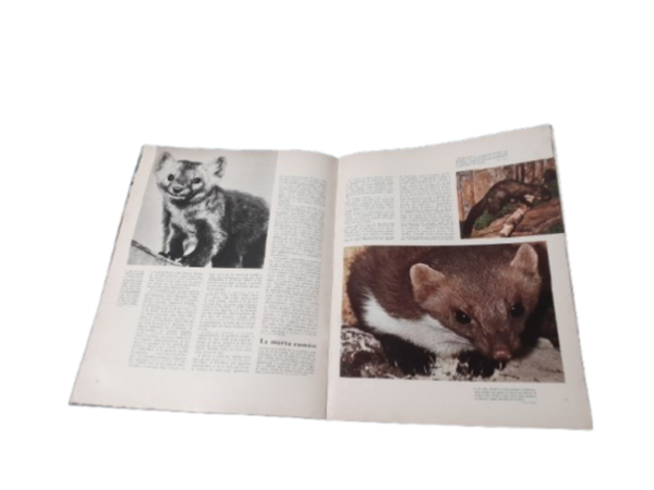 Miniatura de producto - 5