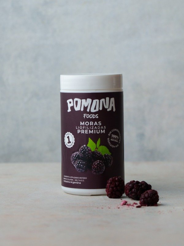 Producto - Moras Liofilizadas x 20g