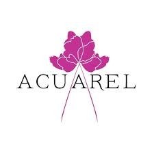Producto - Acuarel Gesso Blanco