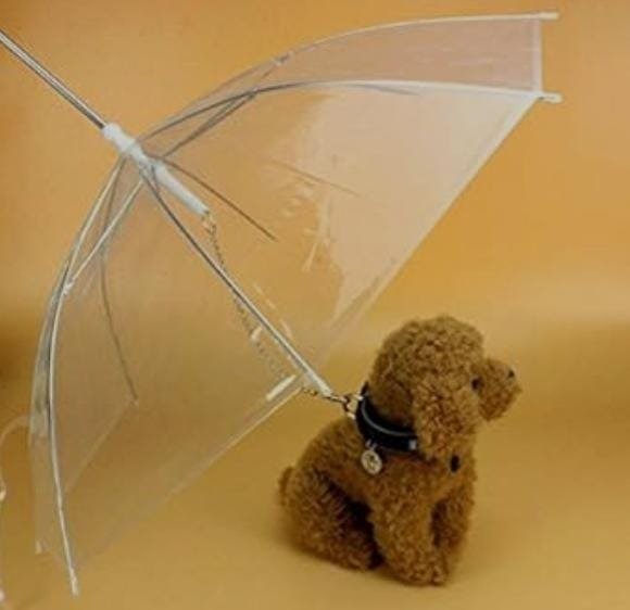 Producto - Paraguas Para Perros, Transparente Con Correa Metálica#26354