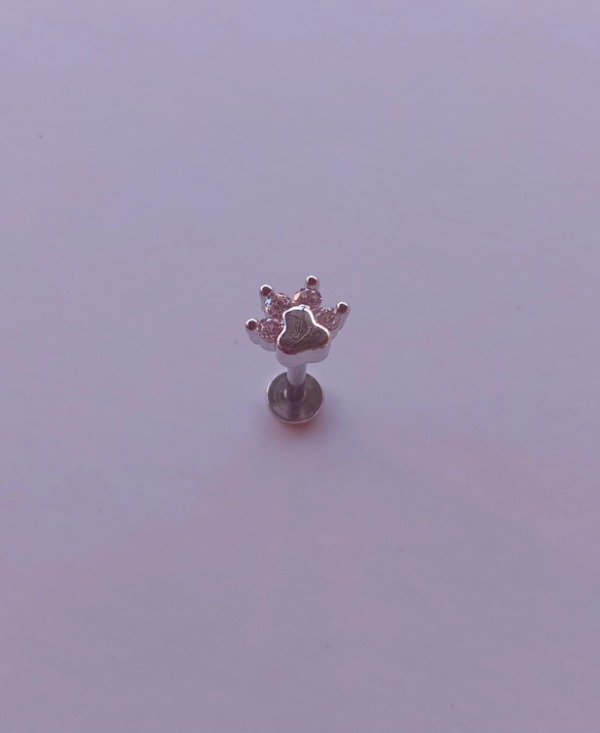 Producto - Labret huellita