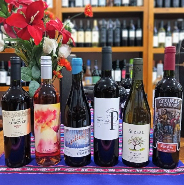 Producto - Caja Mix Vinos "Cepas para descubrir" x 6 botellas