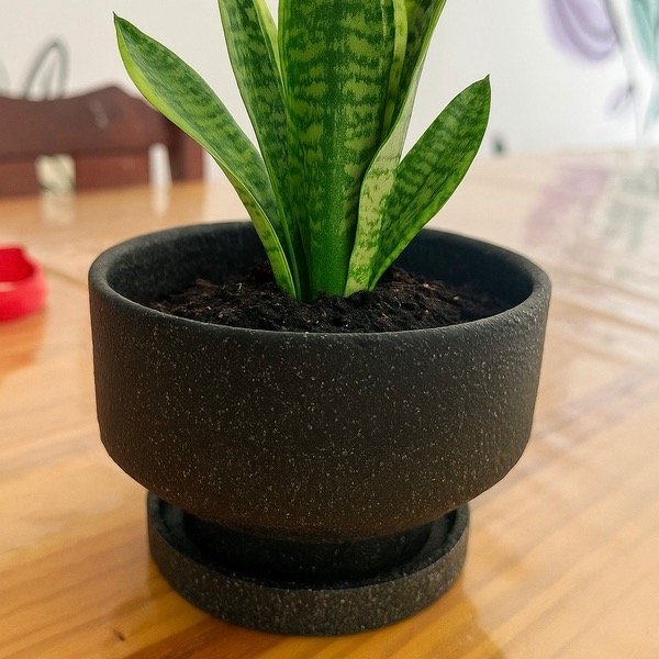 Producto - Maceta terrazo