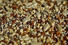 Producto - MIX SEMILLAS 1KG