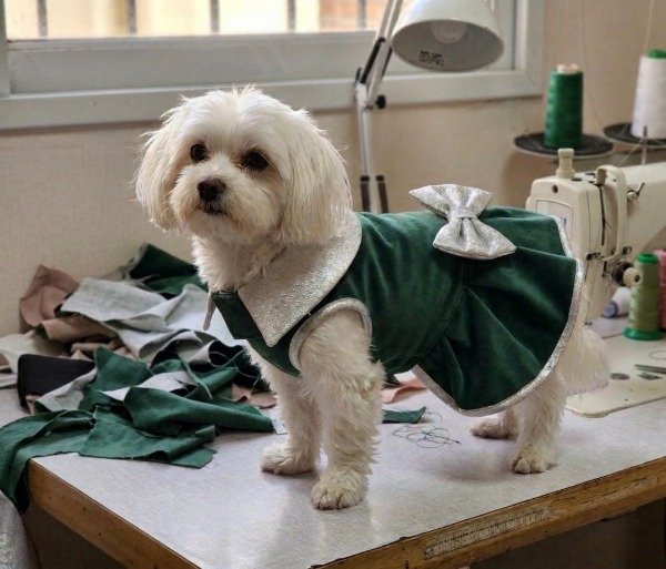 Producto - Vestido de Abrigo - 1