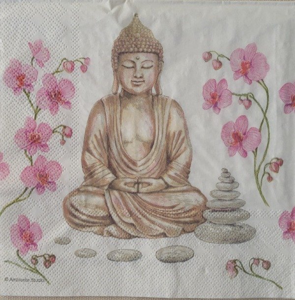 Producto - Buda