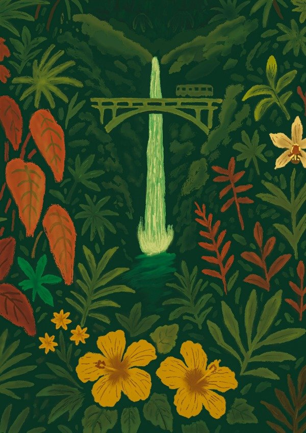 Producto - Camino a Hana