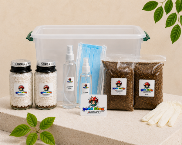 Producto - Kit Hongos Principiante Mediano