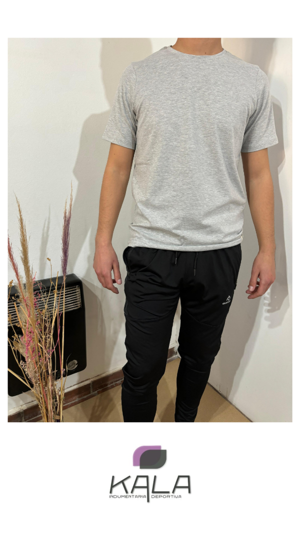 Producto - REMERA DE ALGODON GRIS MELANGE