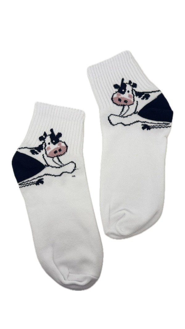 Producto - Mooedias