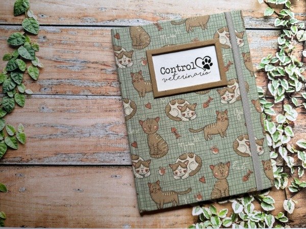 Producto - Control Veterinario Gatitos