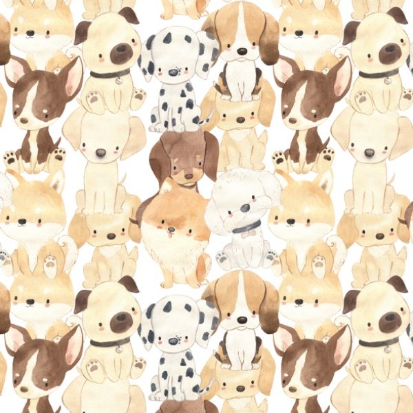 Producto - Pupis