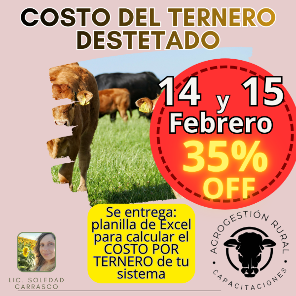 Producto - Taller Online: Costo del Ternero