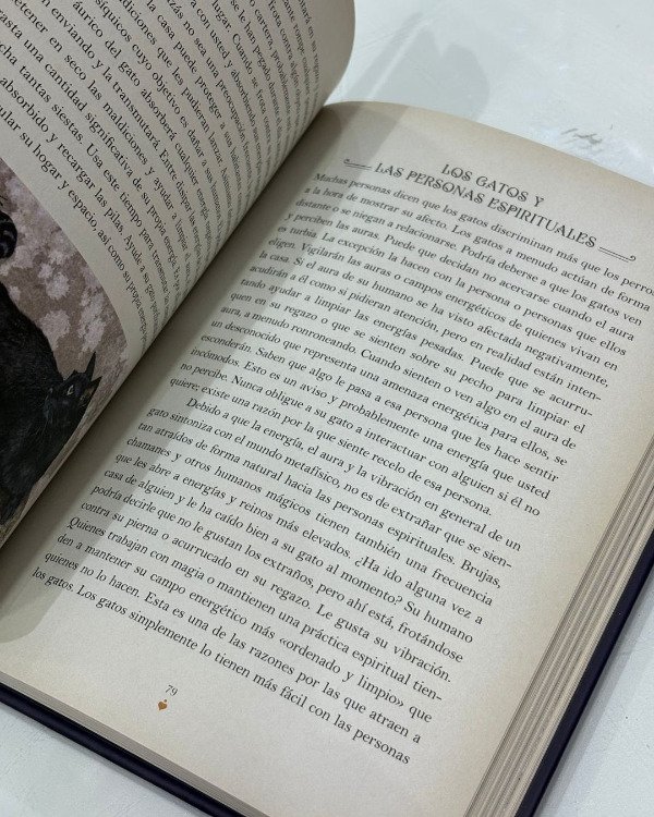 Miniatura de producto - 7