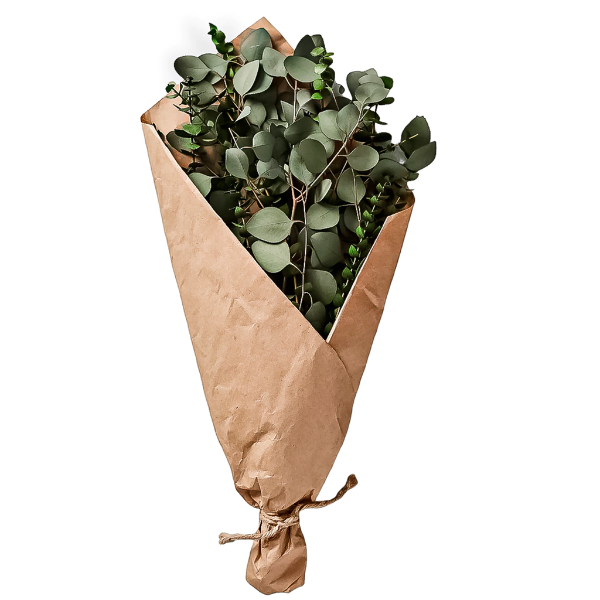 Producto - RAMO DE HOJAS SECAS EUCALIPTO