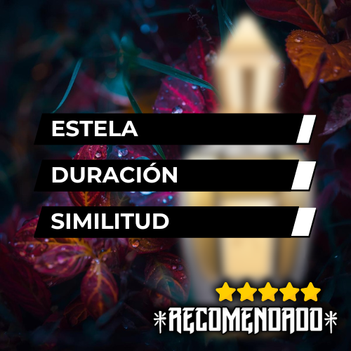 Producto - TIPO AMBER GOLD XERJOFF  55ml