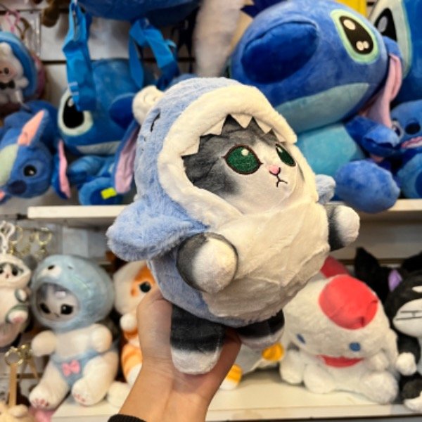 Producto - Gato tiburón azul