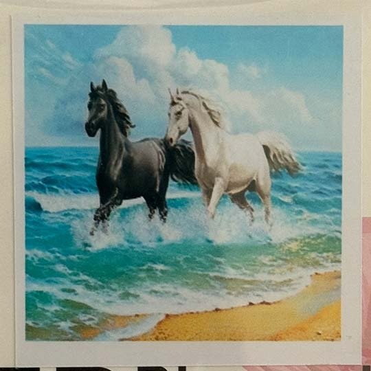 Producto - DIAMOND PAINTING 30X30 HI STONE CABALLOS EN LA PLAYA