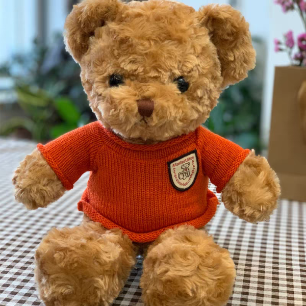 Producto - Peluche Ositos Fluffy - 0