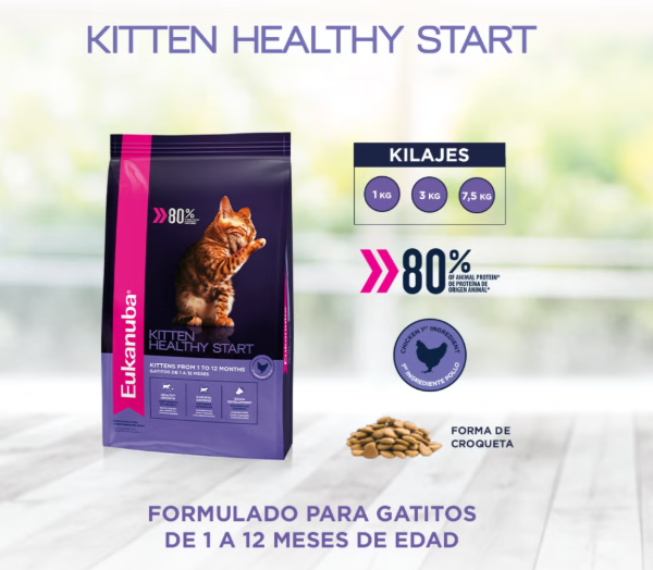 Producto - Eukanuba Kitten Healthy Start