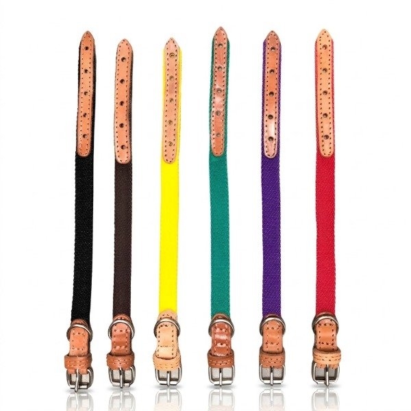 Producto - Collar Blondi Nylon y Cuero Reforzado Resistencia y Confort para tu Mascota