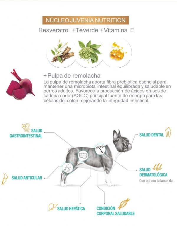 Producto - Juvenia Perro Adulto Raza Pequeña 1 Kg - 2