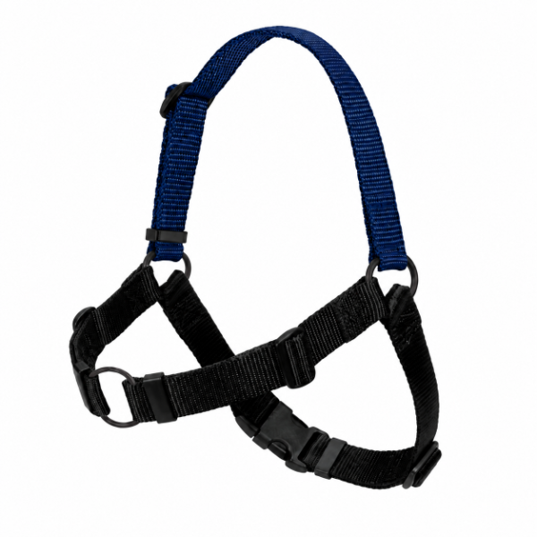 Producto - ARNES ANTI - TIRONES / Large - 3