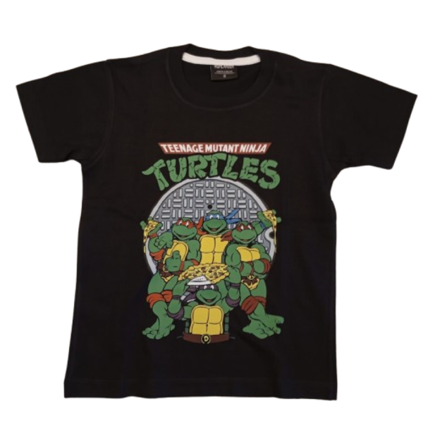 Producto - TORTUGANINJAREÑMC2