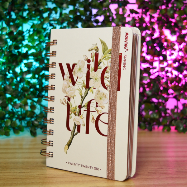 Producto - AGENDA 10X15 DXP SPRING 1402128