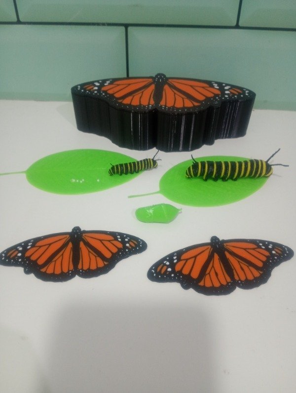 Producto - Mariposa monarca - Ciclo de vida c/ caja