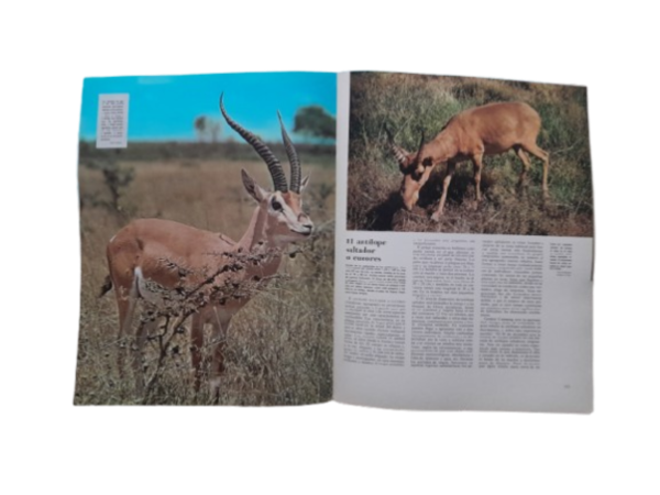 Miniatura de producto - 5