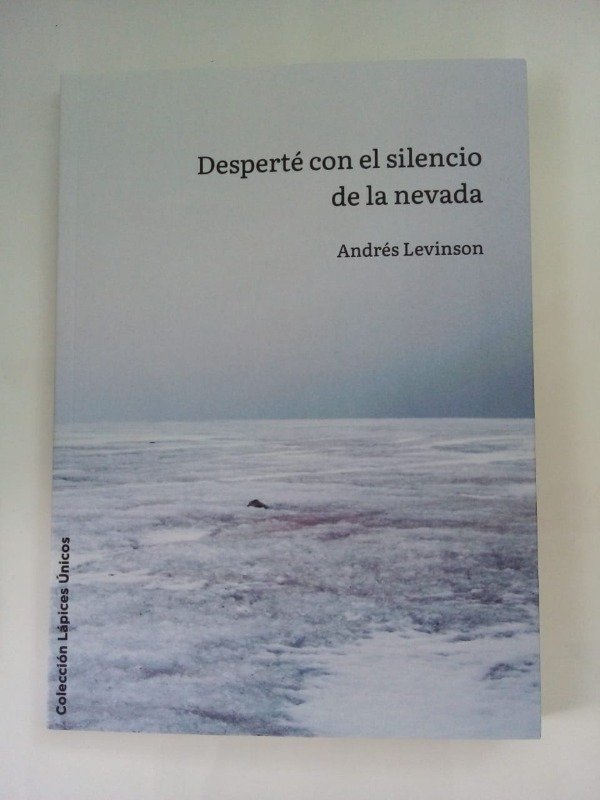 Producto - Desperté con el silencio de la nevada - Andrés Levinson - Los Lápices 2025